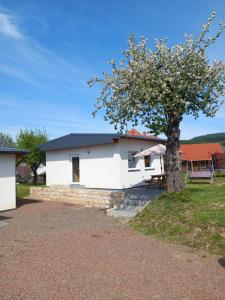 a white house with a tree in front of it at Domki Paula in Kudowa-Zdrój