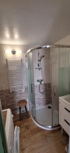 a shower with a glass door in a bathroom at Domaine in Saint-Hilaire-de-Riez