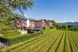 Foto dalla galleria di B&B Garni Erika a Termeno