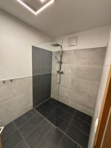 マウテルンドルフにあるApartment Rosaの浴室のガラス扉付きシャワー