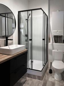 a bathroom with a shower and a sink and a toilet at Hypercentre T2 50 m2, Château des Rohan in Saverne