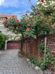 O grădină în afara City Garden Apartments