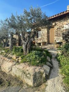 a stone house with a tree and some rocks at Arribes del Duero casa rural Balneario, hotel rural Bermellar y Camino de Hierro in Bermellar