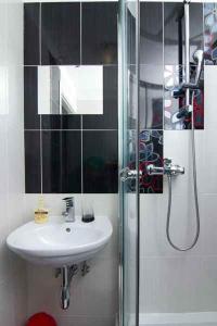 un baño con lavabo y ducha en Apartment Mimice 4, en Mimice 21 fotos más