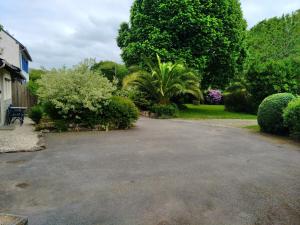 a driveway with trees and bushes in a yard at Studio 2 personnes Bannalec in Bannalec +2 photos