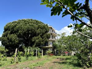 Zahrada ubytování Guesthouse Apartments