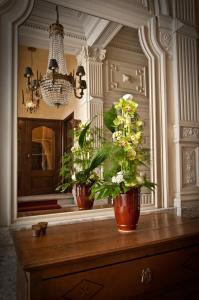 Kép B&B The Baron szállásáról Antwerpenben a galériában