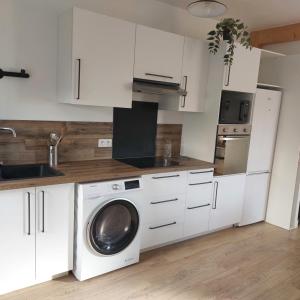 eine Küche mit weißen Schränken und einer Waschmaschine in der Unterkunft Le refuge du lac in La Tessoualle