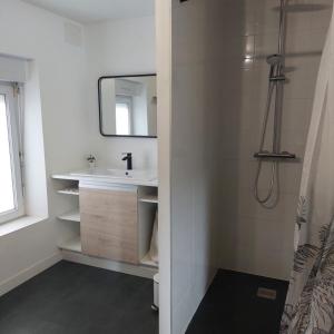 ein Badezimmer mit Waschbecken und Spiegel in der Unterkunft Le refuge du lac in La Tessoualle