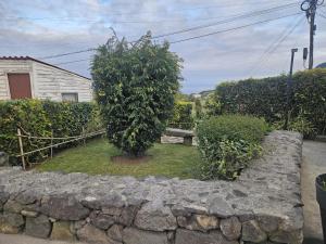 Um jardim em Casa Vista da Marquesa