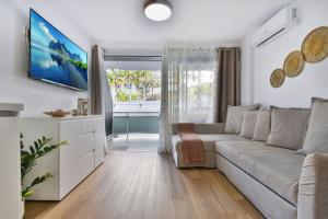 サン・バルトロメにあるTHE SECRET OF ELEPHANT by HOMESTAYGRANCANARIAのソファとテレビのあるリビングルーム