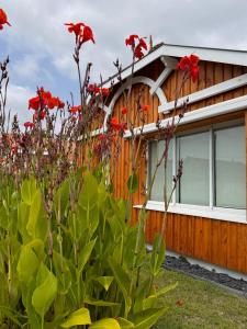 a house with red flowers in front of it at Villa Manolita Andernos les Bains avec jaccuzi in Andernos-les-Bains