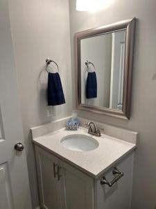 a bathroom with a sink and a mirror at The Cottages 2BR 2BA Dothan Pool Dog Park Pickle Ball Gym in Midland City