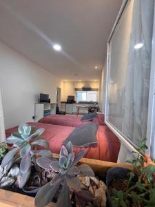 a bedroom with a large bed with red sheets at Aloha apart Pergamino in Pergamino