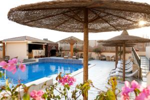 Barceló Cairo Pyramids 내부 또는 인근 수영장