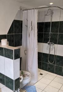 a bathroom with a shower and a toilet at Große Landhauswohnung in Ramhusen