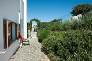 A garden outside Villa Cala Nit by Villa Plus