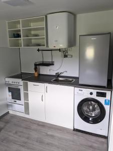 a kitchen with a washing machine and a sink at Bauleiter Apartment Büttel in Sankt Margarethen