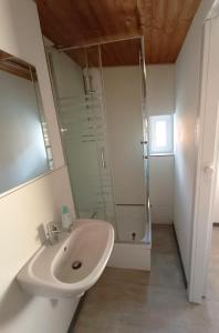a white bathroom with a sink and a shower at Bauleiter Apartment Büttel in Sankt Margarethen