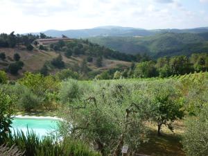 a pool in a vineyard with mountains in the background at Casa Ceneruzzi in Gambassi Terme