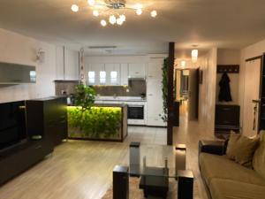 a living room with a couch and a kitchen at Mountain View in Monthey