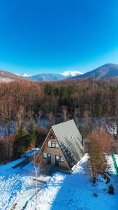 an aerial view of a house in the snow at Arboreal Retreat in Văleni