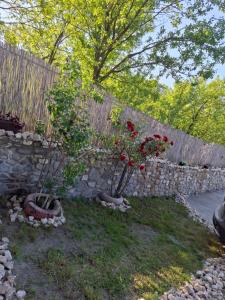 Zahrada ubytování Casa de vacanta Isabelle