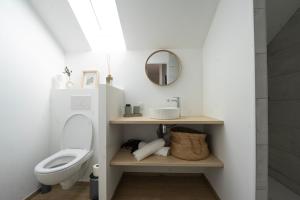 a bathroom with a toilet and a sink and a mirror at La Maison les Quatre Saisons - Therme - Ski in Saint-Martin-d'Uriage +37 photos