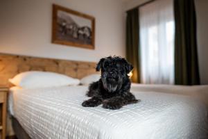 Postel nebo postele na pokoji v ubytování Hotel Panda Cortina- ricarica auto elettriche