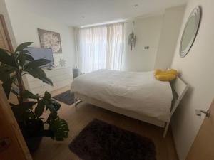 a bedroom with a bed and a plant in it at 2 bed apartment Liverpool city centre in Liverpool