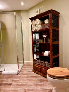 a bathroom with a shower and a toilet in a room at Clashmore House Garden Cottage Dornoch in Dornoch