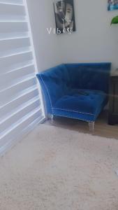 un sofá azul sentado en una habitación con una alfombra en Comfortable Getaway, en Hamilton 1 foto más