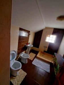 Koupelna v ubytování Casa de vacanta Isabelle