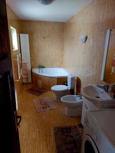 Koupelna v ubytování Casa de vacanta Isabelle
