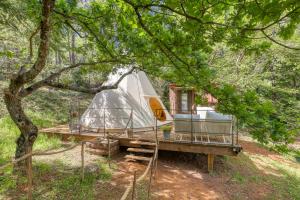 Tipi à Roussillon外面的花园