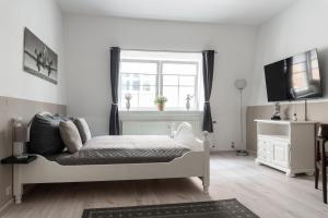 TV a/nebo společenská místnost v ubytování SchaeBu! Apartment 4 Zentral Am Altmarkt