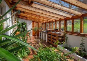 a wooden conservatory with a wooden ceiling and plants at The Barn - Brynberian, Eglwyswrw in Eglwyswrw