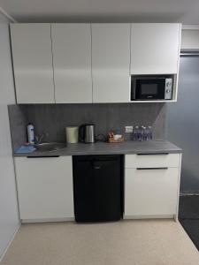 Kuchyň nebo kuchyňský kout v ubytování Pabrades Apartamentai