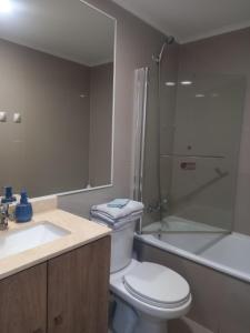a bathroom with a toilet and a sink and a shower at Departamento Edificio Centro Osorno in Osorno
