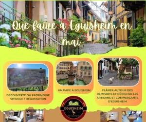 Zdjęcie z galerii obiektu Gite Géranium*** w mieście Eguisheim