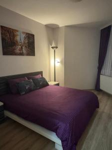 Postel nebo postele na pokoji v ubytování Jokica apartmani