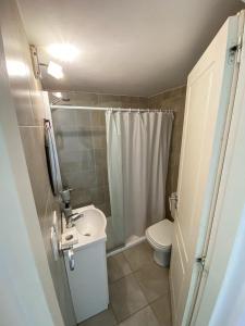 Un baño pequeño con inodoro y lavabo. en Loft céntrico y moderno con vista al lago, en San Carlos de Bariloche