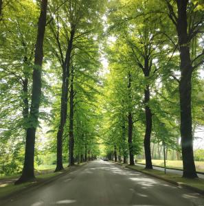 Příroda nedaleko penzionu + 7 fotografií