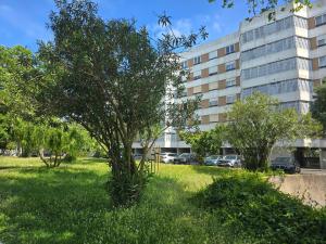 a tree in the grass in front of a building at Applause Oeiras in Oeiras