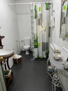 a bathroom with a shower and a toilet and a sink at Casa Rural La Casona de Oreja in Aranjuez +32 photos