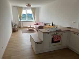 Dapur atau dapur kecil di Štýlový apartmán s TOP výhľadom - Orava, Námestovo
