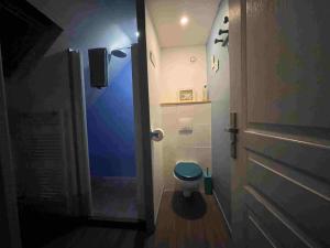 a bathroom with a toilet and a blue door at La Grange de Melaual in Soulages-Bonneval