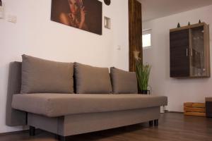 Afbeelding uit fotogalerij van Borova bajka in Usije