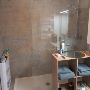 a bathroom with a shower and a sink at PARIS CDG Chantilly Senlis in Senlis