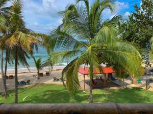 Una vista de una playa con palmeras y el océano en Cocobeach Palomino, en Palomino